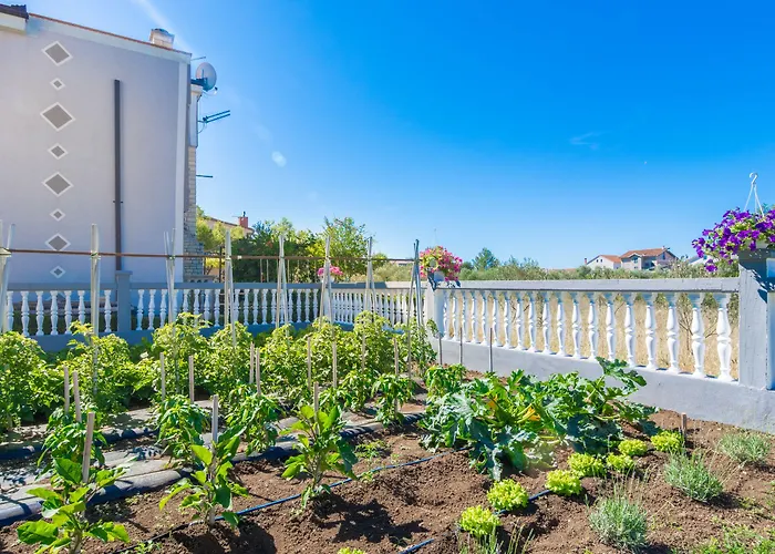 Maki Bed and Breakfast Biograd Na Moru